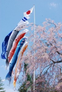こいのぼり