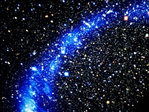 七夕星