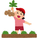 じゃがいも2